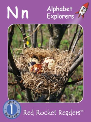 cover image of Alphabet Explorers: Nn